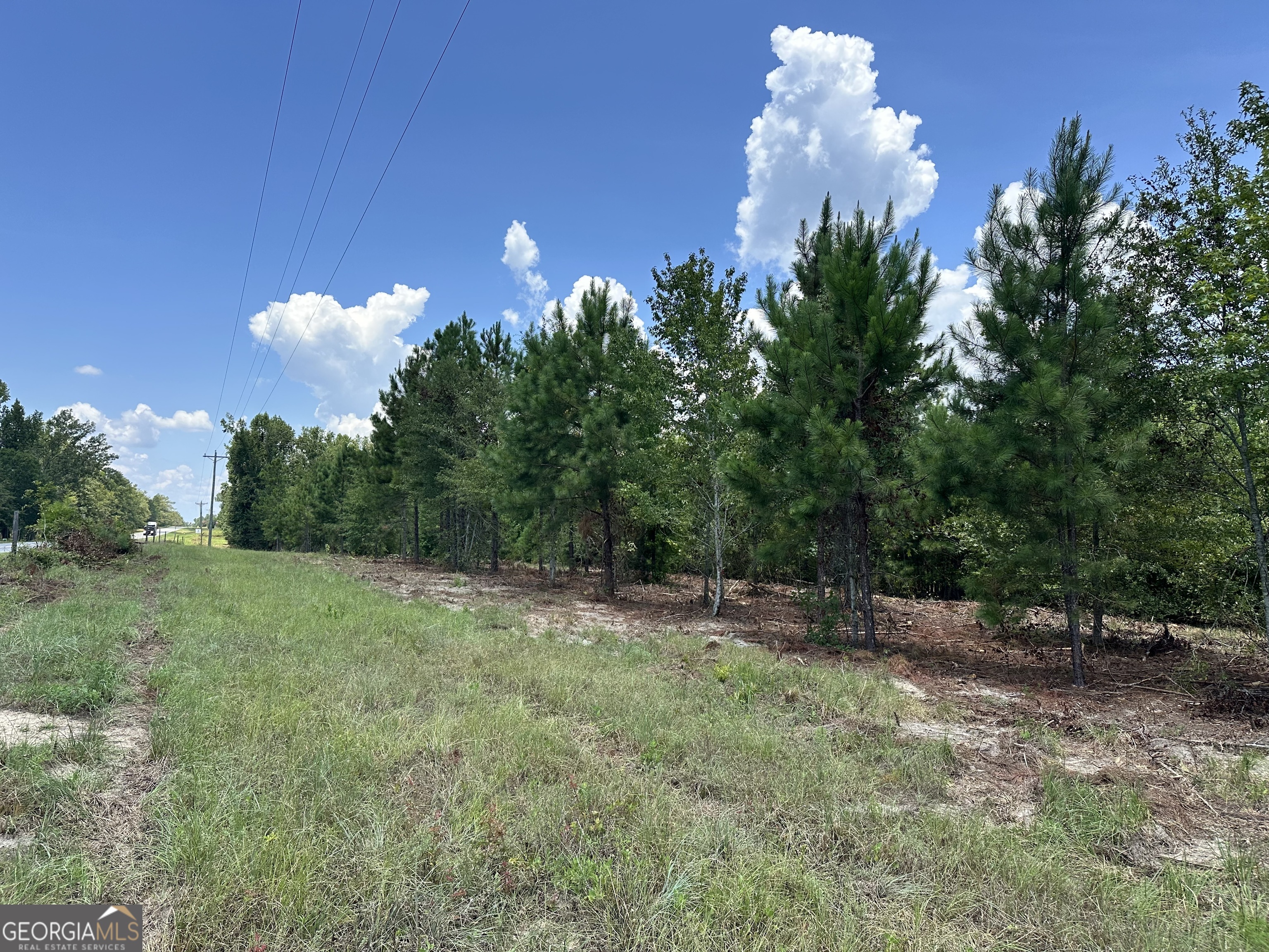 0 Highway 19 Dublin, GA 31021 - Photo 5 of 5 a backyard of a house with lots of green space