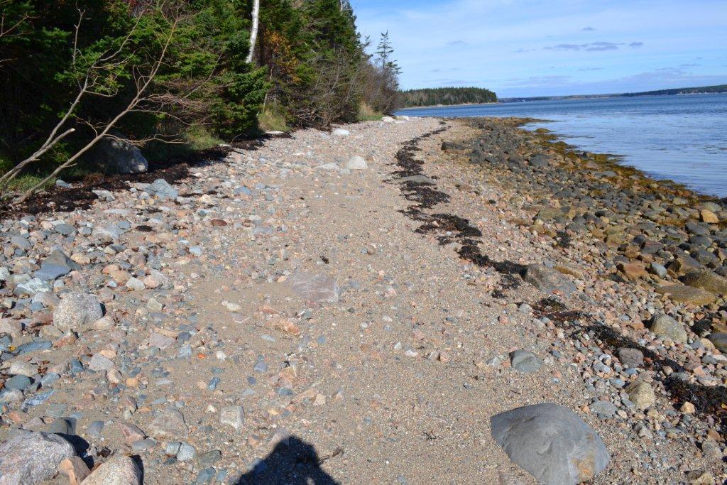 503 Paul Bunyan Road Corea, ME 04624 - Photo 4 of 8 Photo