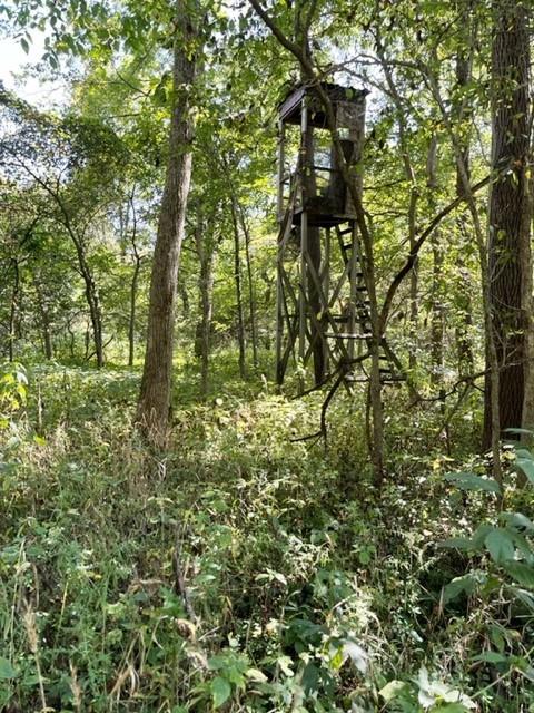 2680 East Eden Road Greenfield, IN 46140 - Photo 29 of 34 Gallery Image 29
