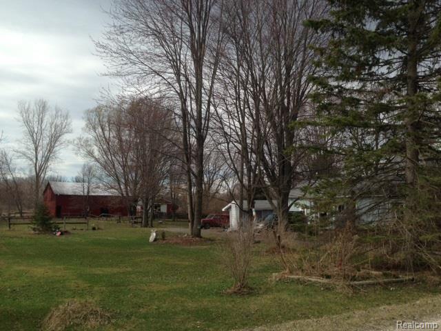 Backyard.jpg
