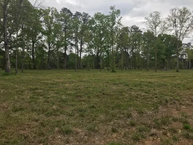 $38,900 | 0 Hwy 107, Center Point, LA 71323