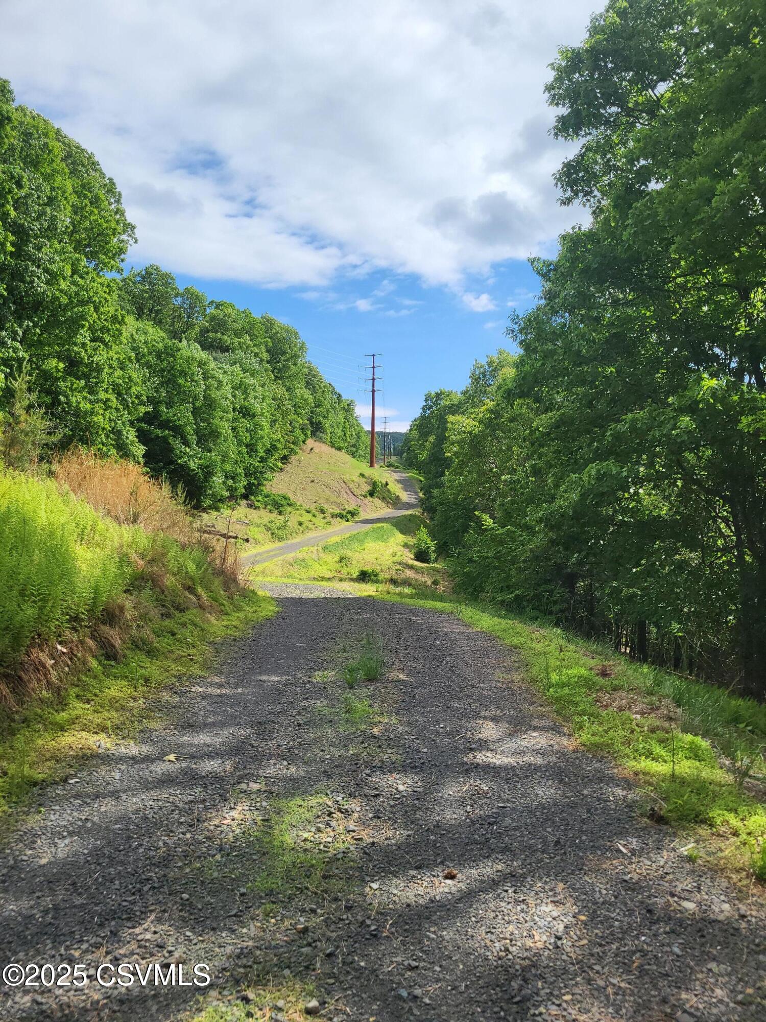 Mountain Road Paxinos, PA 17860 - Photo 2 of 10 Gallery Image 2