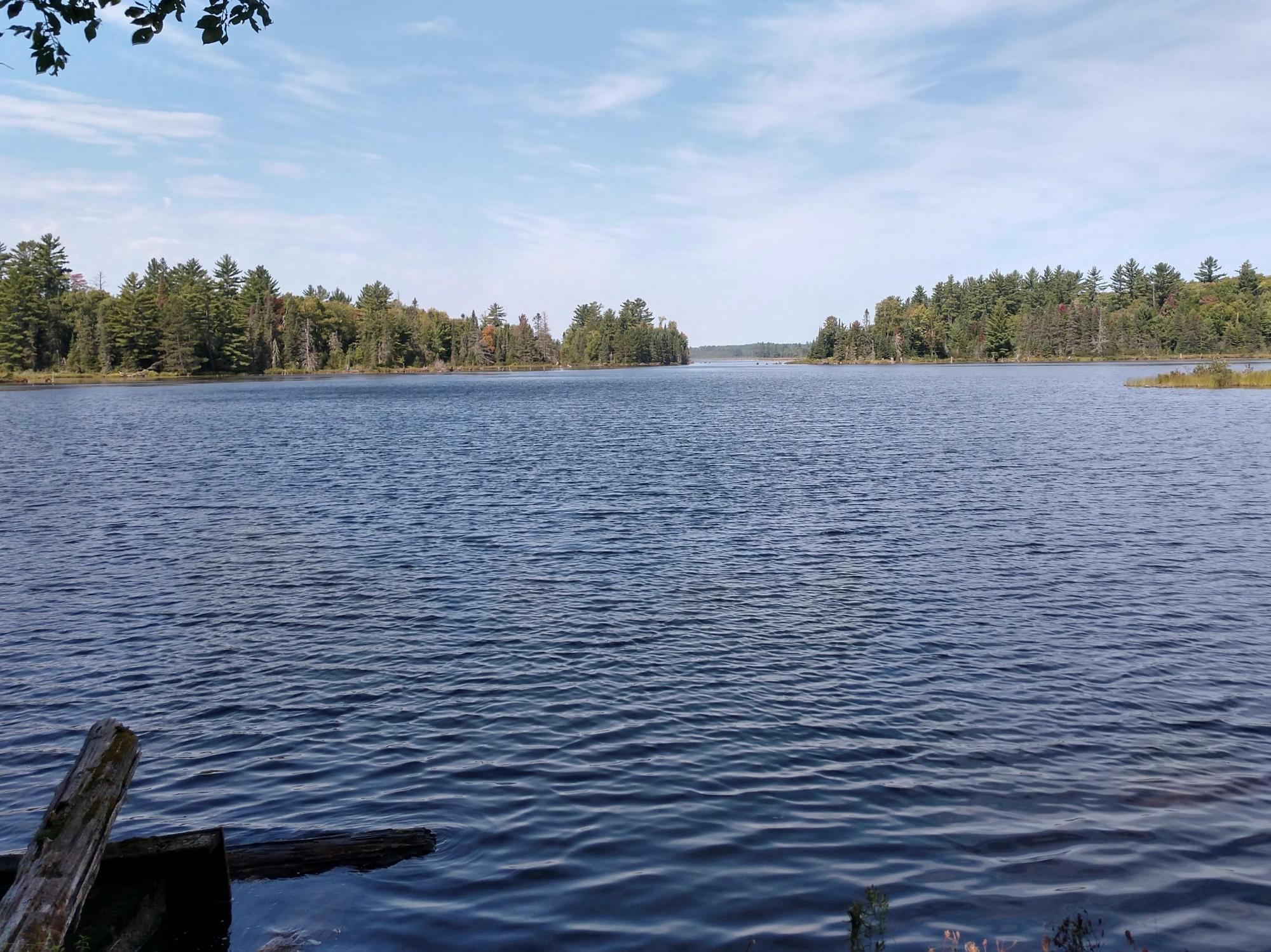 Off Off Forest Road Trout Creek, MI 49967 - Photo 46 of 50 Gallery Image 46