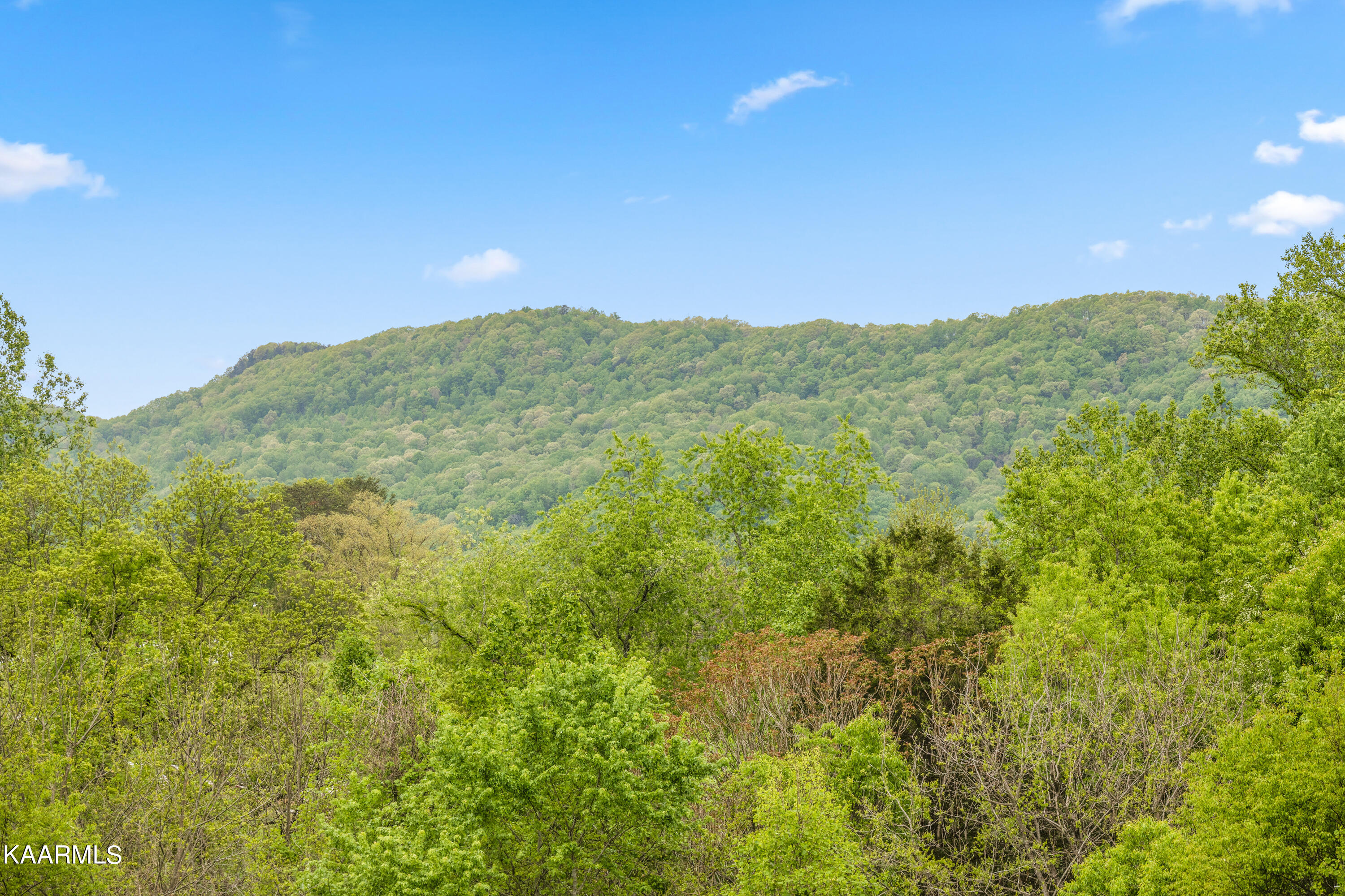 396 Demory Road La Follette, TN 37766 - Photo 18 of 34 Positive Perceptions-14