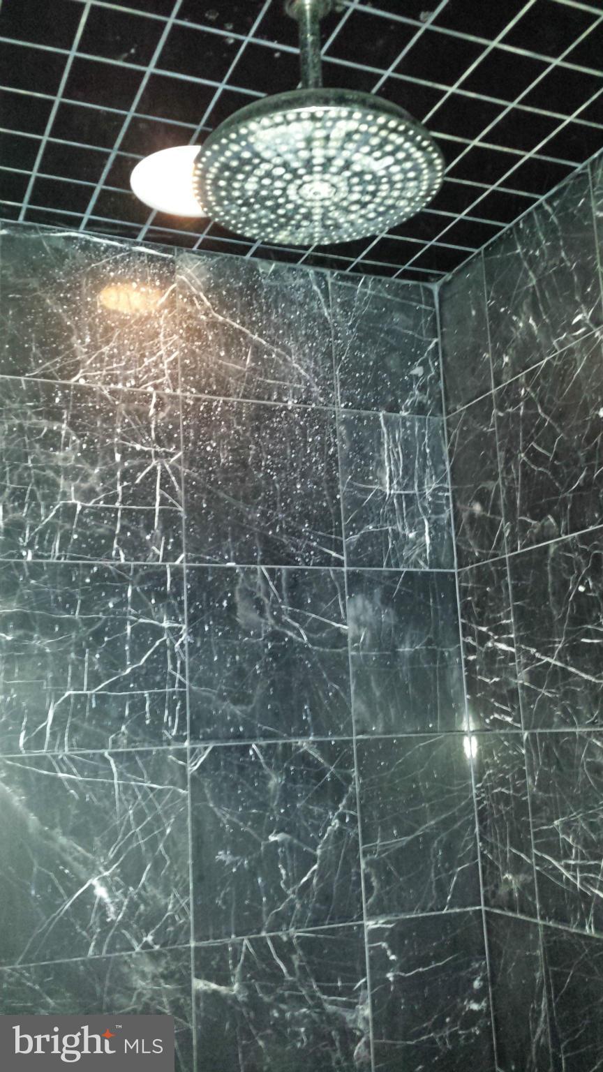 321 Delight Meadows Road Reisterstown, MD 21136 - Photo 14 of 29 sep. shower