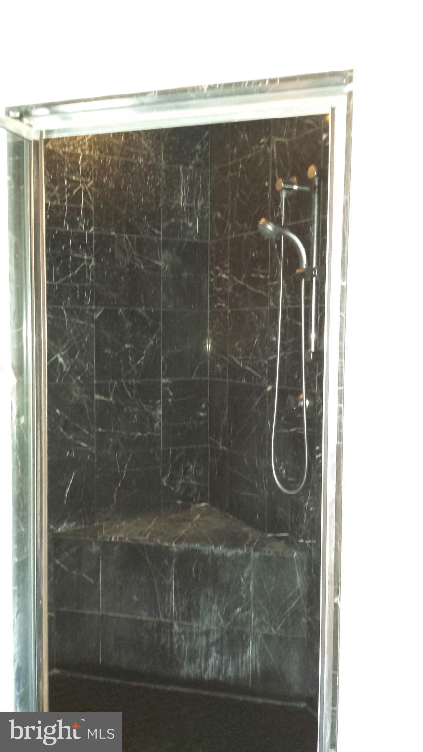 321 Delight Meadows Road Reisterstown, MD 21136 - Photo 15 of 29 shower