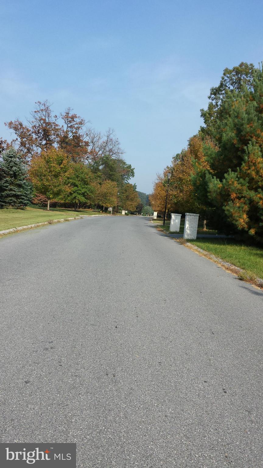 321 Delight Meadows Road Reisterstown, MD 21136 - Photo 29 of 29 street view