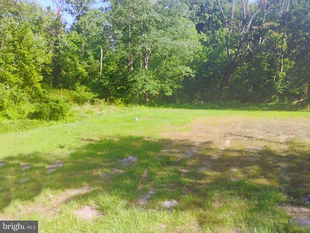a view of a yard with a trees