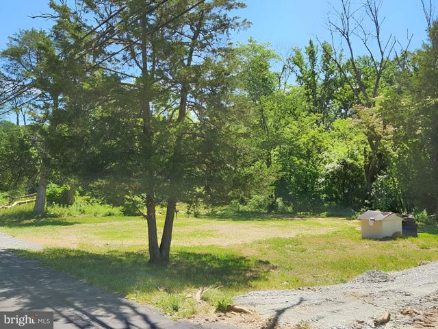 a view of yard with swimming pool