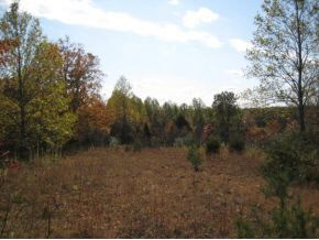 2999 West Popcorn Road Springville, IN 47462 - Photo 3 of 5