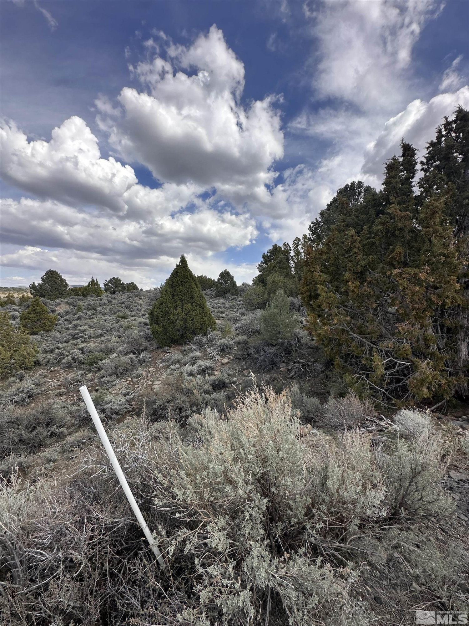 3520 Dry Lake Road, Unit 10/352 Reno, NV 89521 - Photo 5 of 13 a view of a dry yard with wooden fence