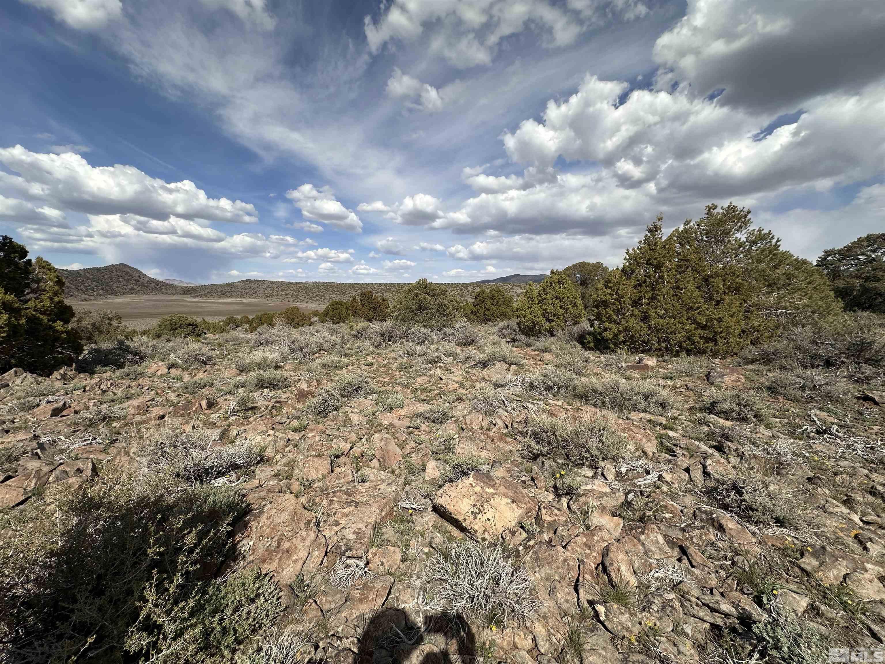 3520 Dry Lake Road, Unit 10/352 Reno, NV 89521 - Photo 7 of 13