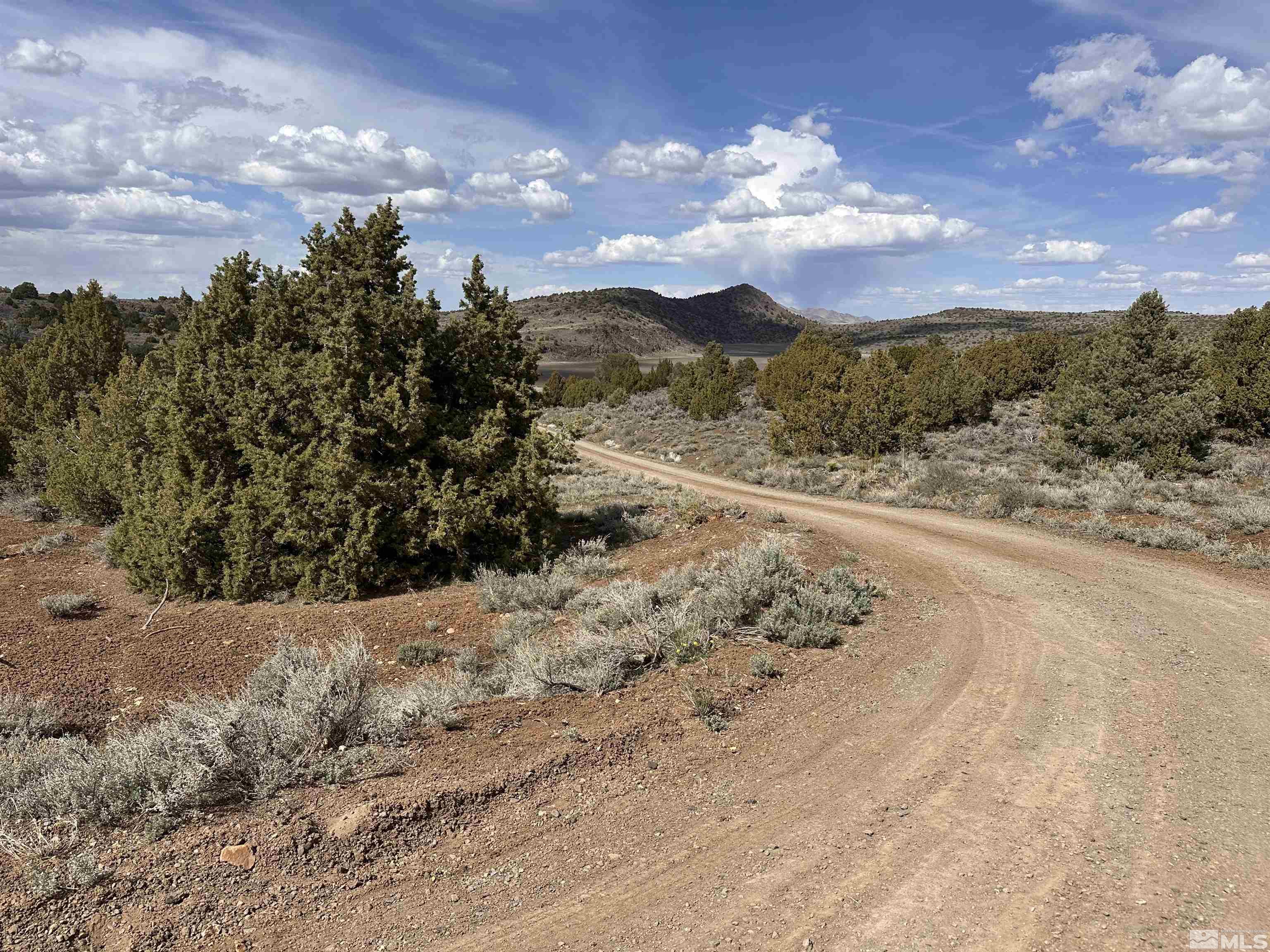 3520 Dry Lake Road, Unit 10/352 Reno, NV 89521 - Photo 9 of 13 a view of a yard with mountains in the background