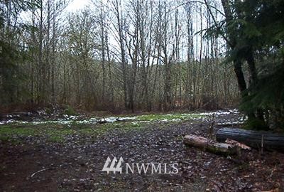 10 Longbell Road Mossyrock, WA 98564 - Photo 1 of 1 Gallery Image 1