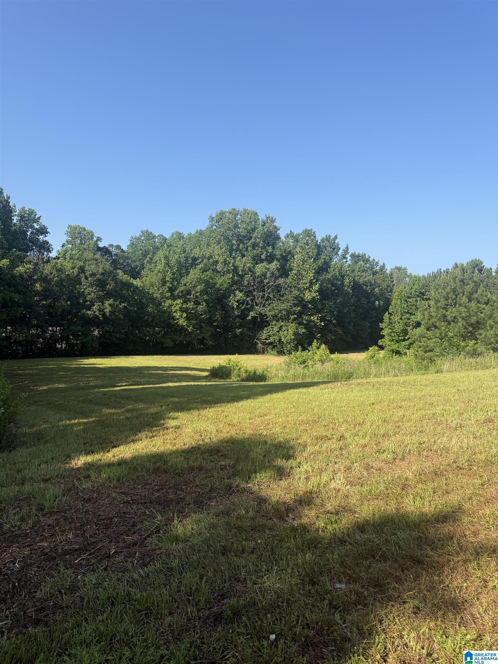 0 County Road 450 Fruithurst, AL 36262 - Photo 10 of 13
