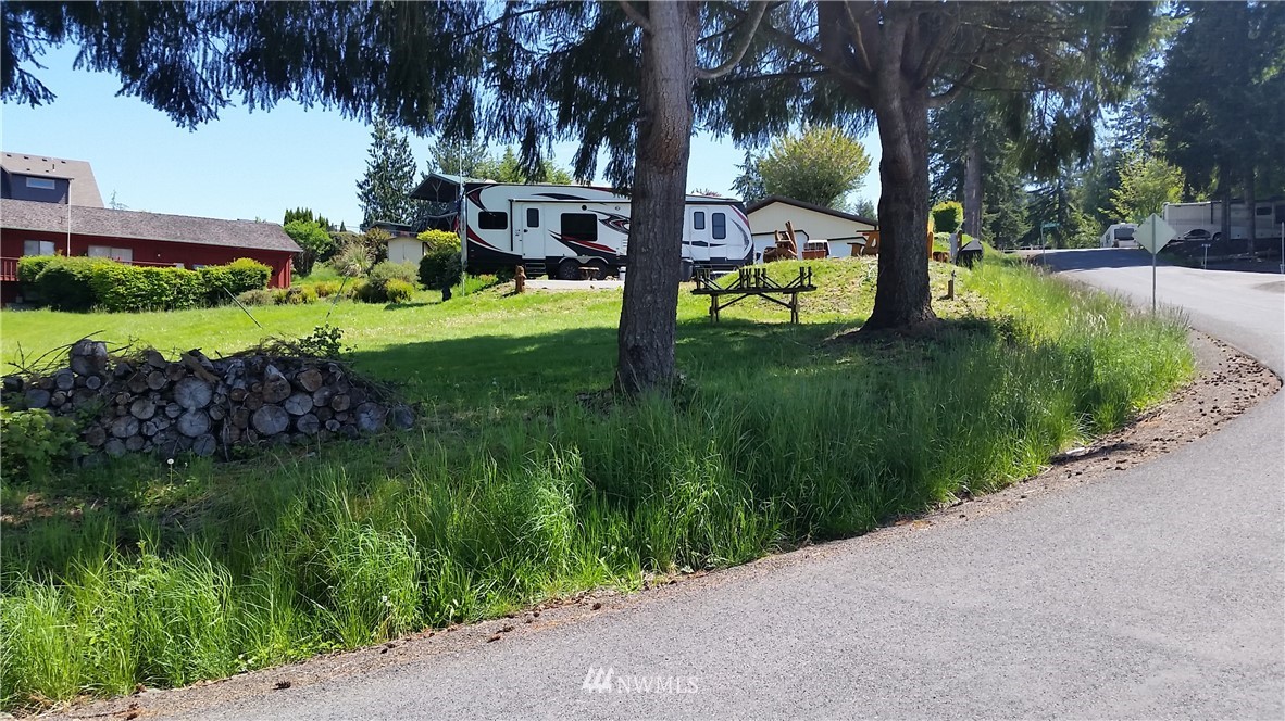 0 Hadaller Road Mossyrock, WA 98564 - Photo 3 of 13