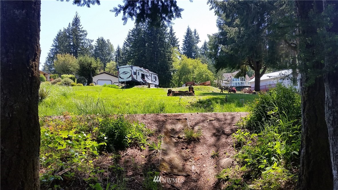 0 Hadaller Road Mossyrock, WA 98564 - Photo 7 of 13