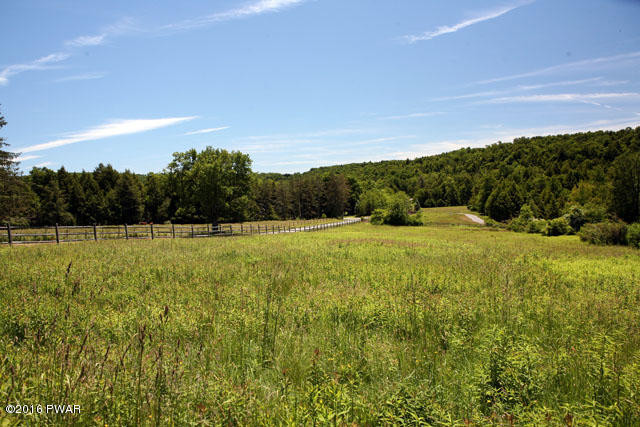 0 Jaketown Road Livingston Manor, NY 12758 - Photo 8 of 16