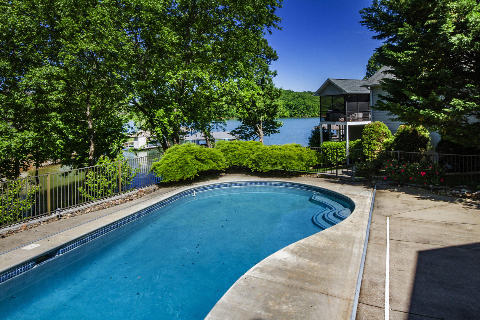 203 Sequoyah Road Loudon, TN 37774 - Photo 37 of 40 37_203 Sequoyah Road_Pool01