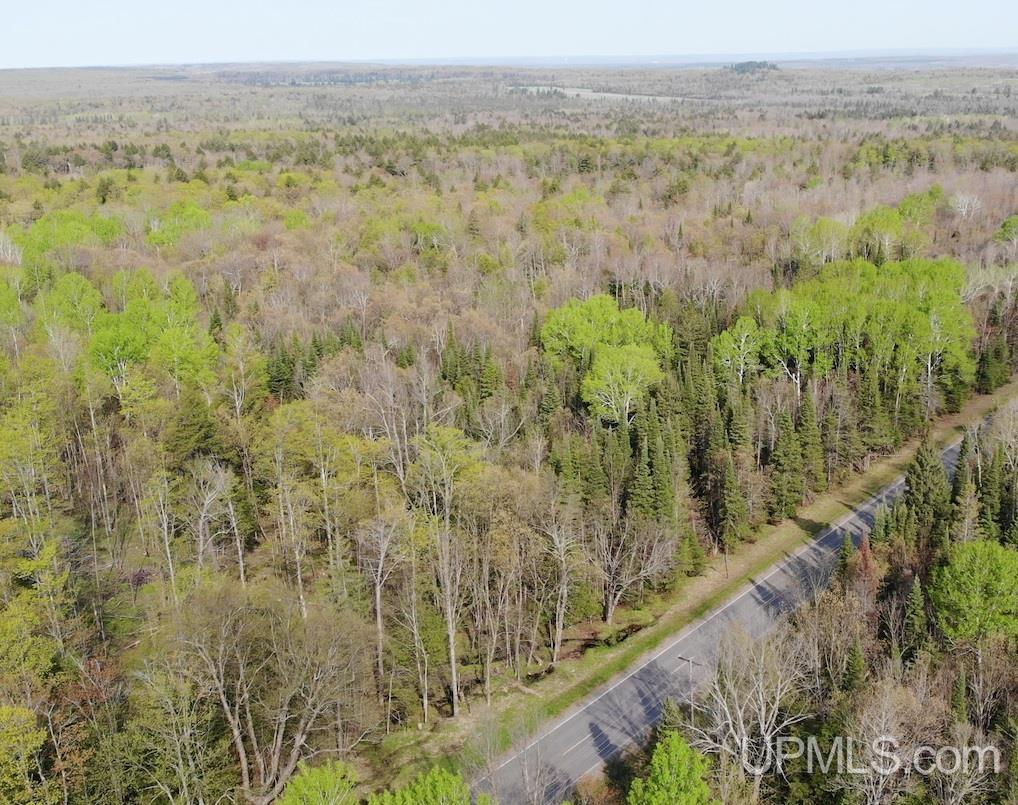 Tbdfg Dog Patch Road, Unit LOT F AND G Lanse, MI 49946 - Photo 6 of 17