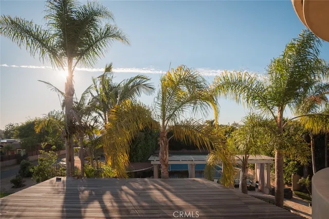 a view of a yard and palm trees