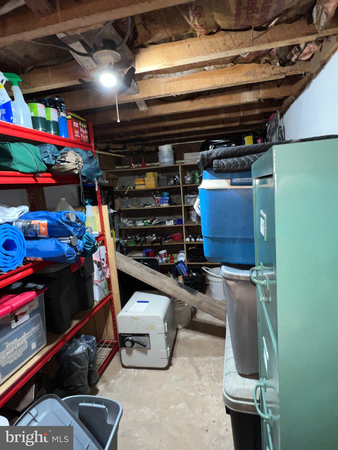 11402 Red Hill Road Southwest La Vale, MD 21502 - Photo 18 of 92 Organized storage space with potential.