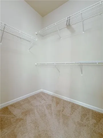 a view of a room with racks on the wall