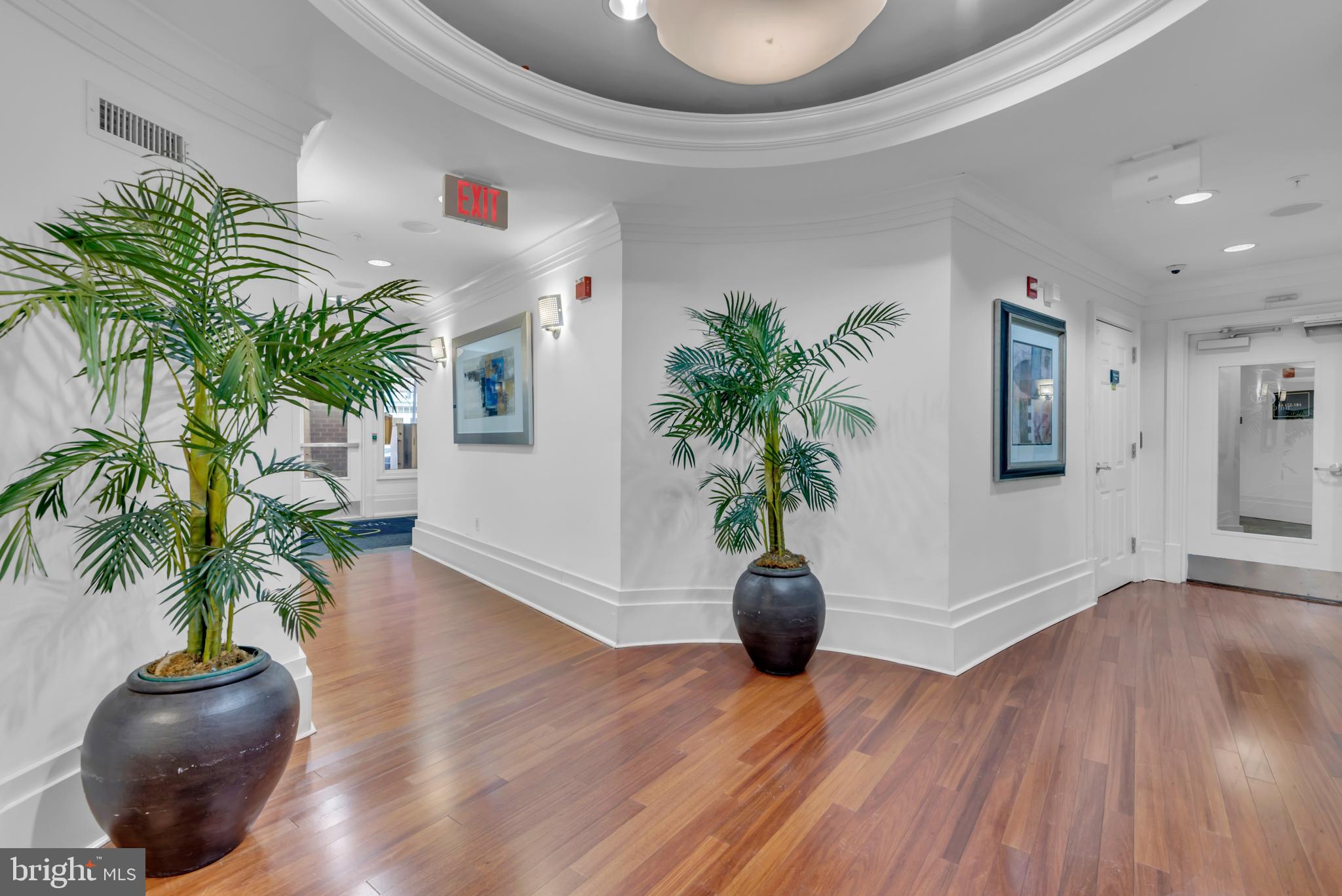 7 Booth Street, Unit 302 Gaithersburg, MD 20878 - Photo 35 of 63 a living room with furniture and a potted plant