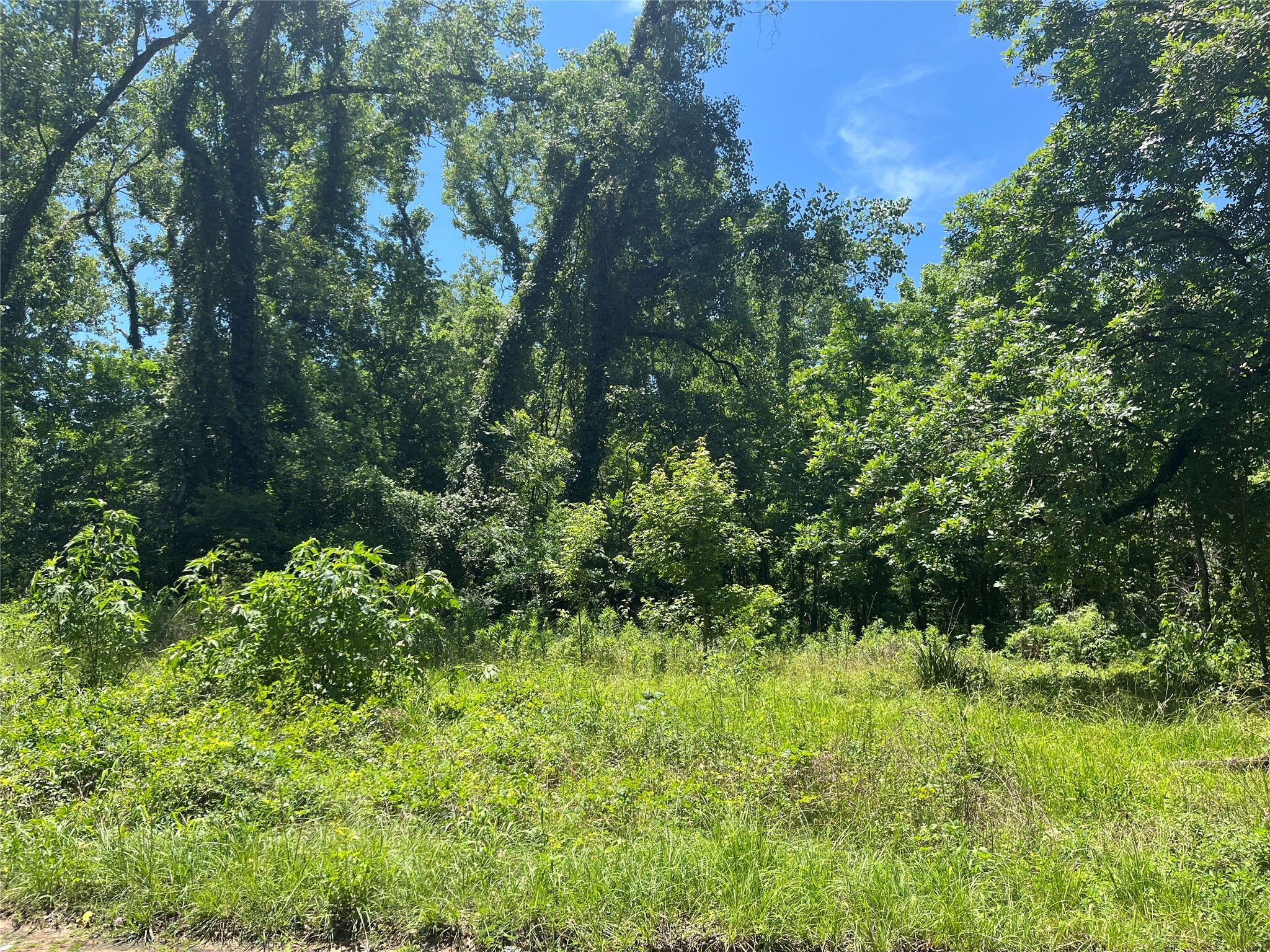 127 Trinity Road Dayton Lakes, TX 77535 - Photo 2 of 6 a view of a garden