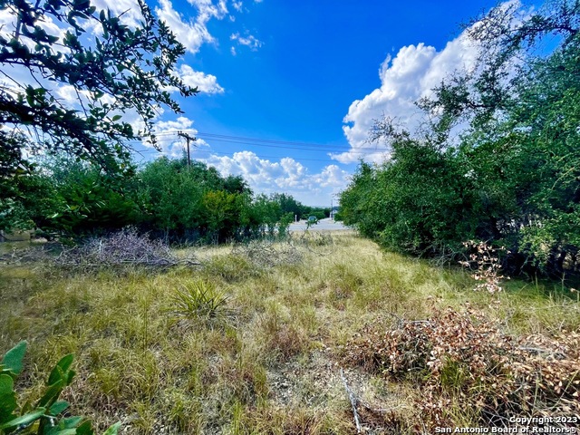 140 North Calvin Barrett Blanco, TX 78606 - Photo 4 of 23 a view of a garden with plants