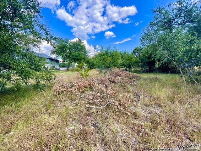 140 North Calvin Barrett Blanco, TX 78606 - Photo 7 of 23 a view of a yard with plants and large trees