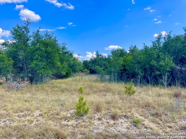 140 North Calvin Barrett Blanco, TX 78606 - Photo 9 of 23 a view of a yard with a tree