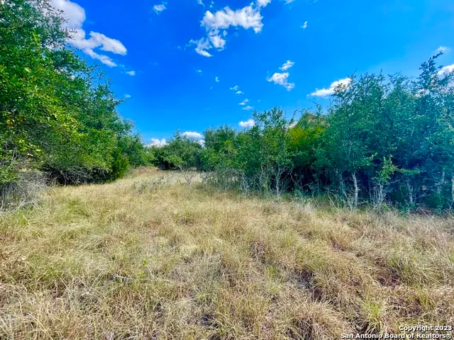 a view of a lake with a yard