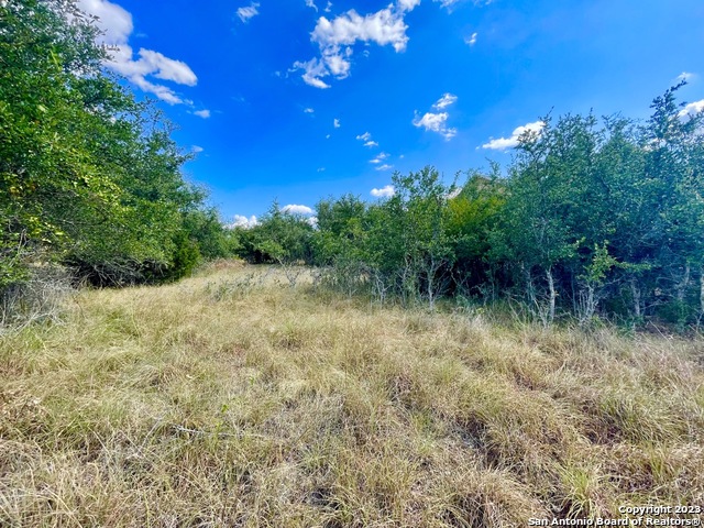 140 North Calvin Barrett Blanco, TX 78606 - Photo 10 of 23 a view of a lake with a yard