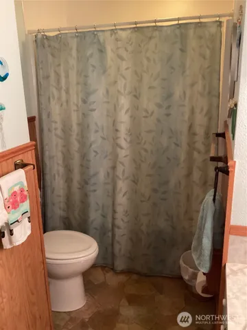 a white toilet sitting next to a shower curtain