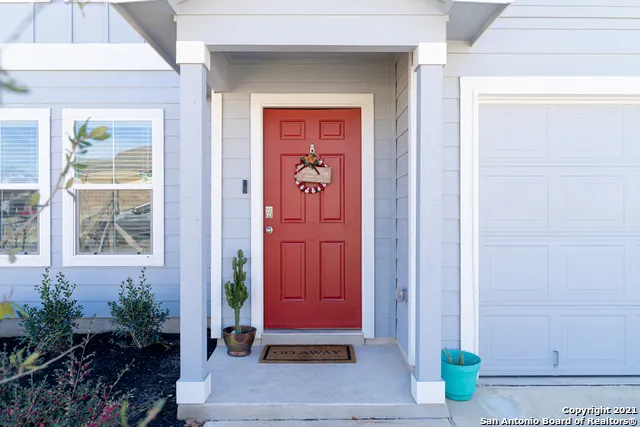 a potted plant in front of a door