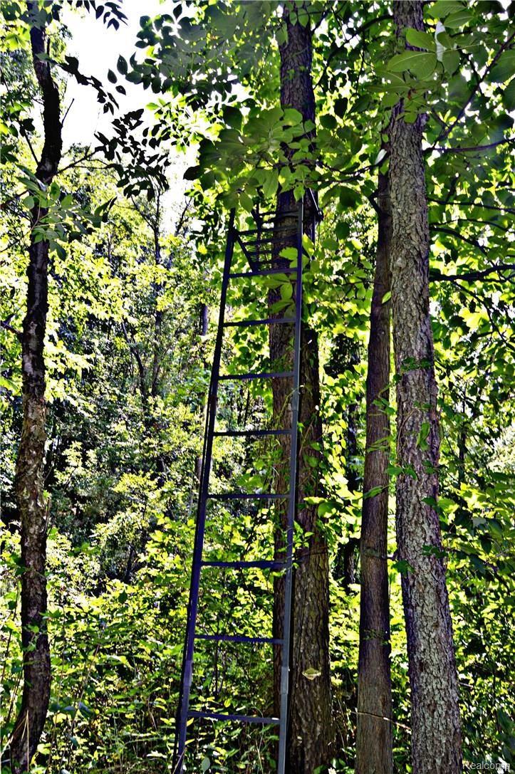4255 Walsh Road Whitmore Lake, MI 48189 - Photo 49 of 50 DSC_0284.jpg