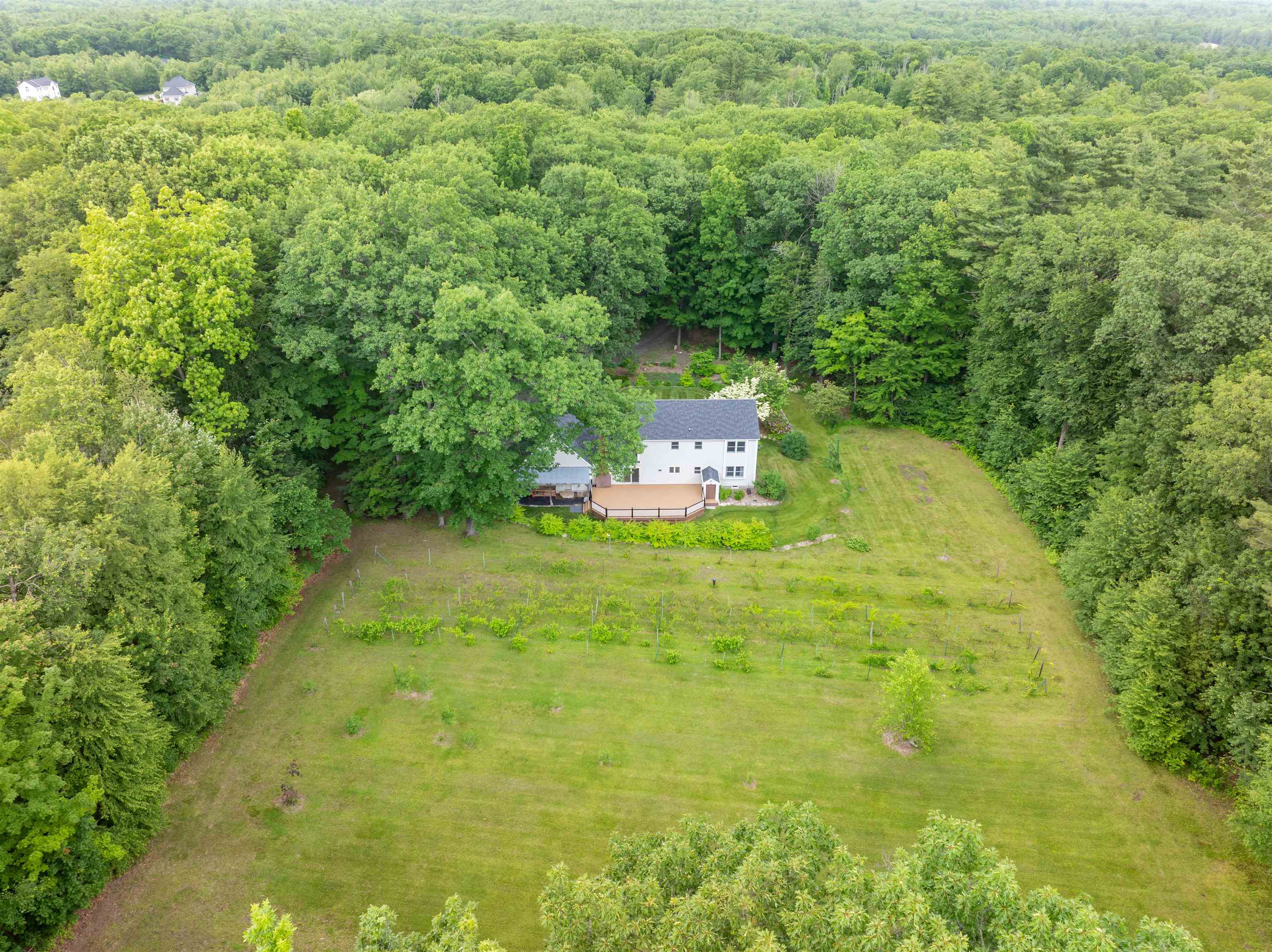 146 Old Sandown Road Chester, NH 03036 - Photo 46 of 53