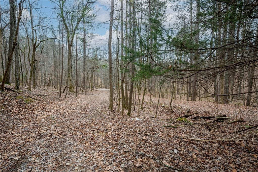 161 Jasmine Drive Ranger, GA 30734 - Photo 1 of 1