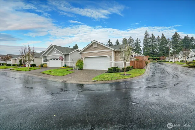 a view of a house with a yard plants and large tree