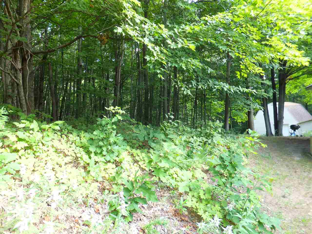 3147 Casey Road Frankfort, MI 49635 - Photo 3 of 24 1879173-2.JPG