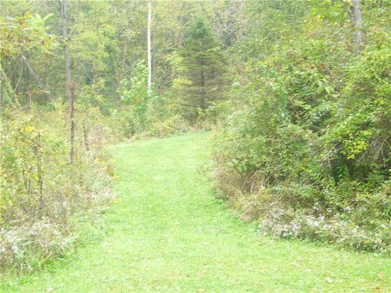 317 Kelley Road Industry, PA 15052 - Photo 19 of 21 7.29 acres, for hunting and enjoying the outdoors.