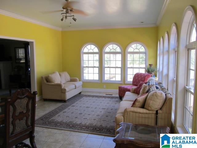 347 Pine Mountain Road Remlap, AL 35133 - Photo 7 of 49