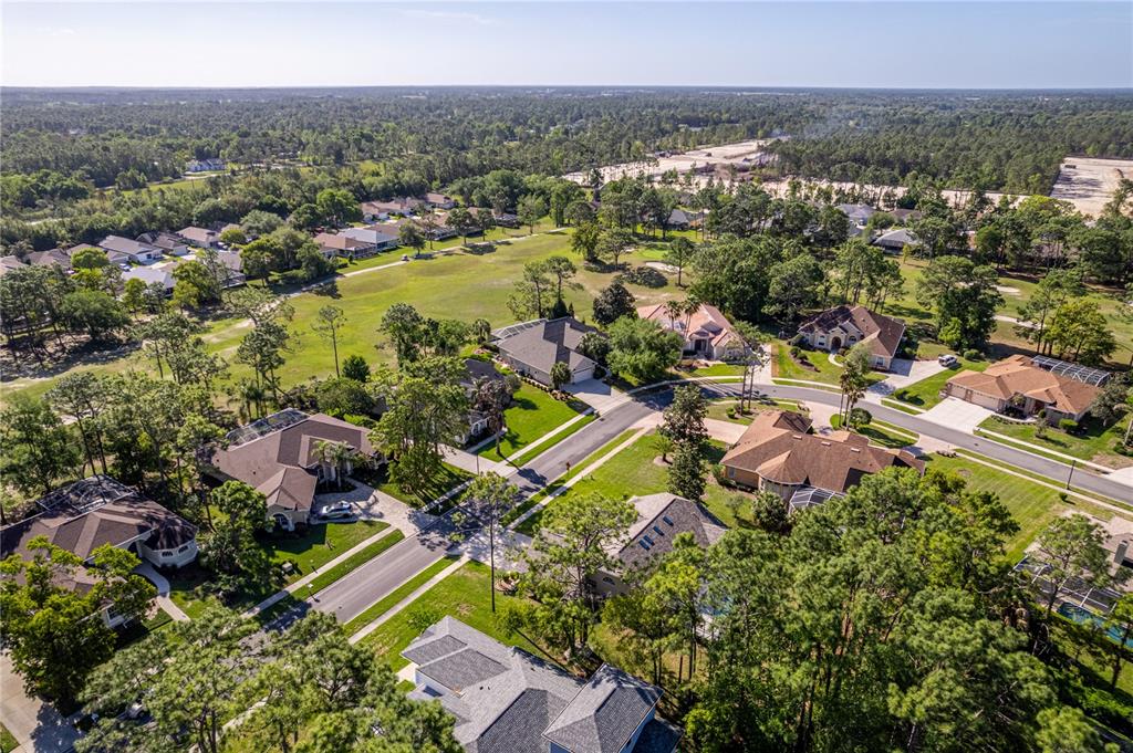 15031 Surrey Bend Spring Hill, FL 34609 - Photo 65 of 77 an aerial view of residential houses with outdoor space and trees