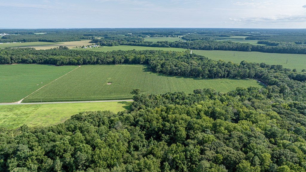 1-6 Hurst Store Road, Unit 16 Greenbush, VA 23357 - Photo 42 of 44 Gallery Image 42