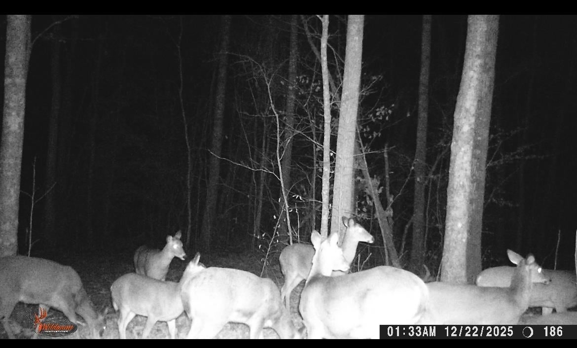 0 Greenbrier Road Breeding, KY 42715 - Photo 21 of 23 Gallery Image 21