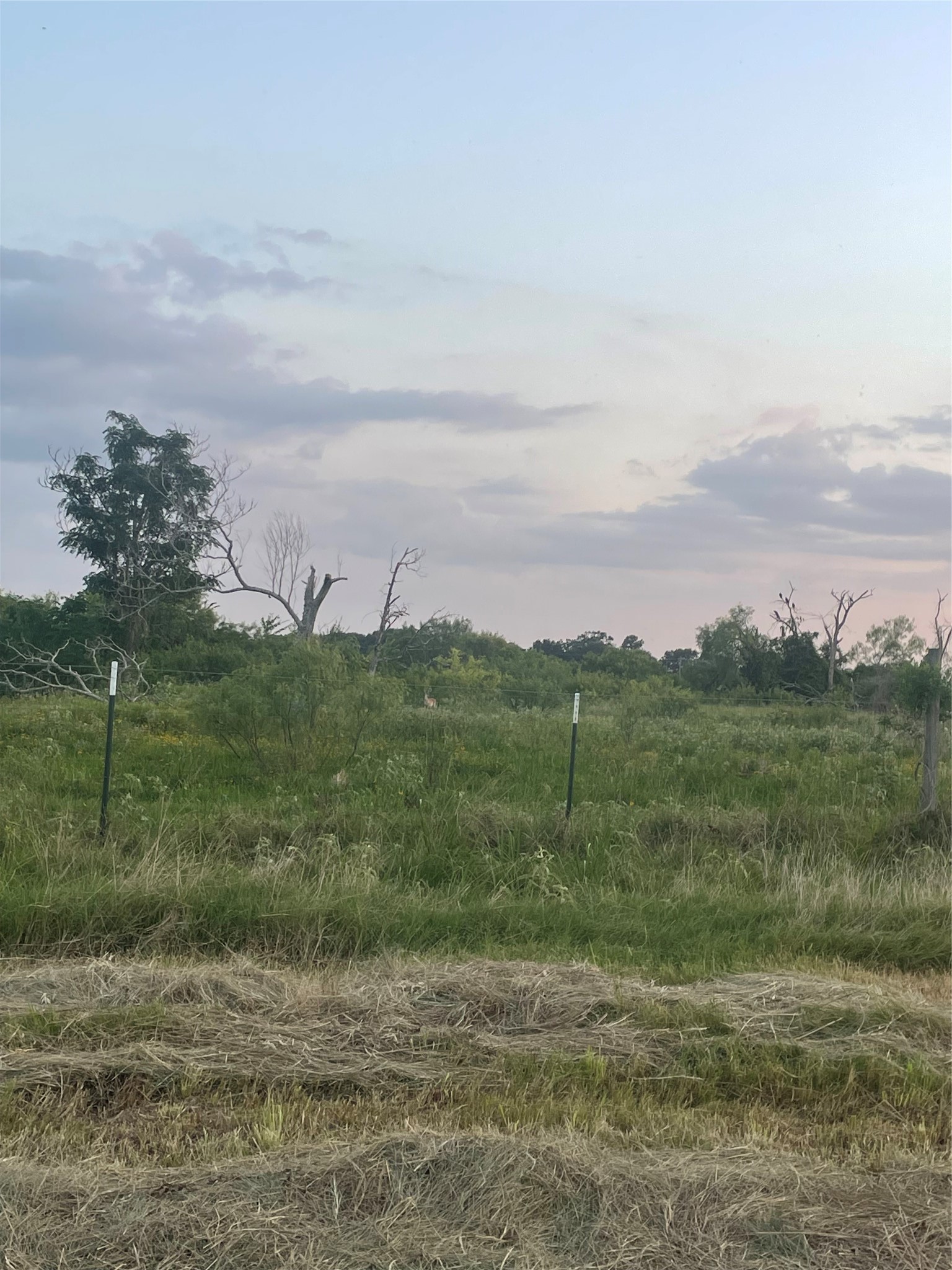 51359 Highway 290 East Hempstead, TX 77445 - Photo 11 of 15 a view of a field with an ocean