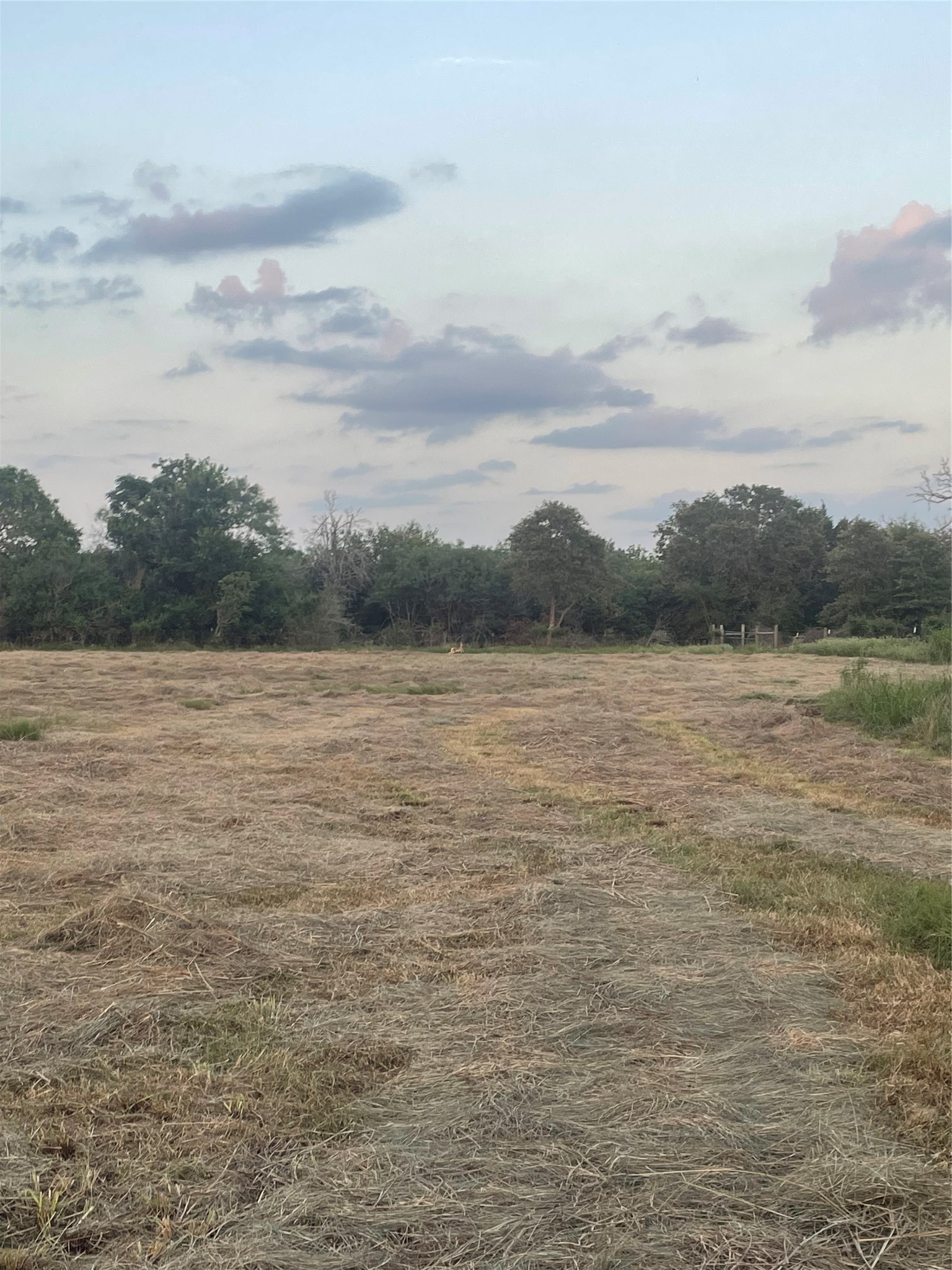 51359 Highway 290 East Hempstead, TX 77445 - Photo 12 of 15 a view of a lake view