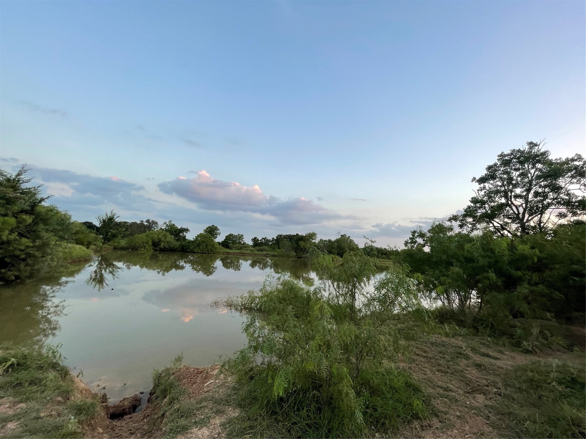 51359 Highway 290 East Hempstead, TX 77445 - Photo 9 of 15