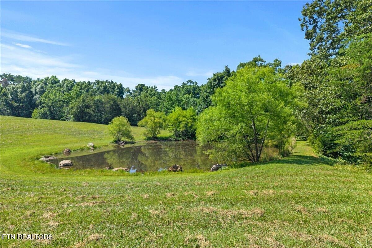 910 Reagan Valley Road Tellico Plains, TN 37385 - Photo 10 of 58 Gallery Image 10